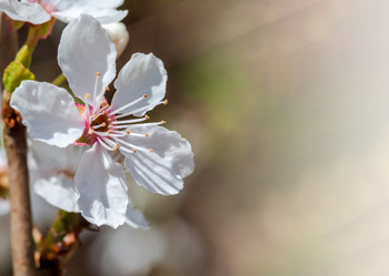 Similar image 21402694