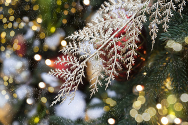 Similar image 21419328