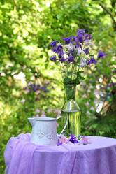 Similar image 21421345