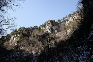 Similar image 21418696