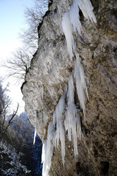 Similar image 21418699