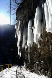 Similar image 21418704