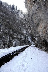 Similar image 21418711