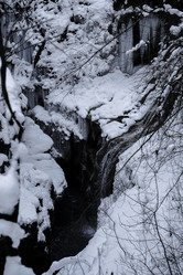 Similar image 21418712