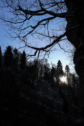 Similar image 21418714