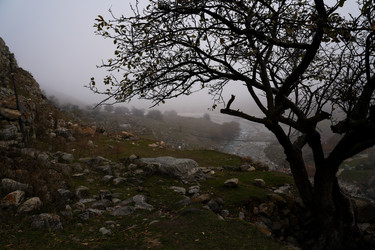 Similar image 21418725