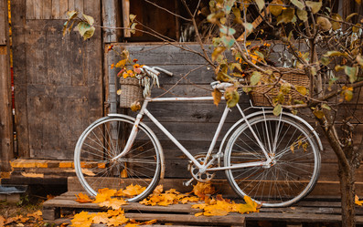 Similar image 21409084