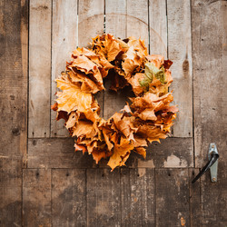 Similar image 21409593