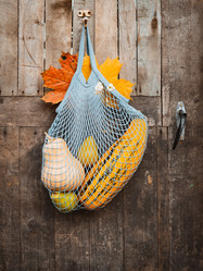 Similar image 21409595