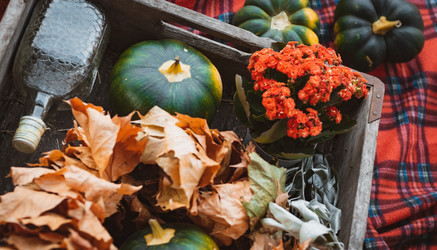 Similar image 21409597