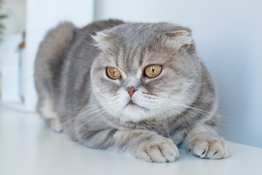 Similar image 21409625