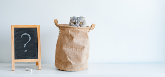 Similar image 21409626