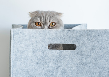 Similar image 21409632