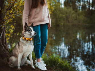 Similar image 21409651