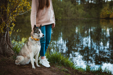 Similar image 21409652