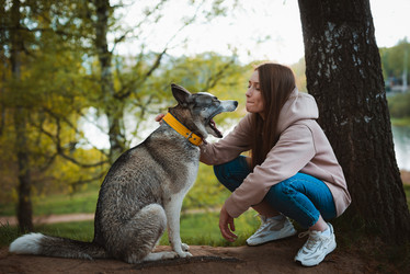 Similar image 21409656