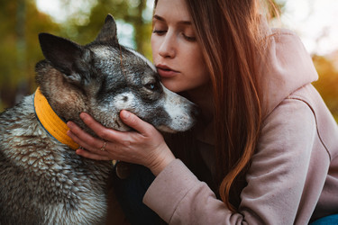 Similar image 21409657