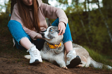 Similar image 21409668