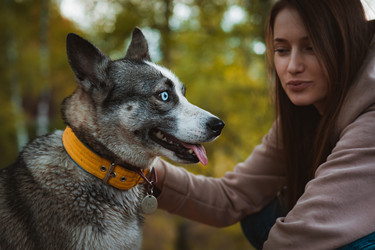 Similar image 21409670