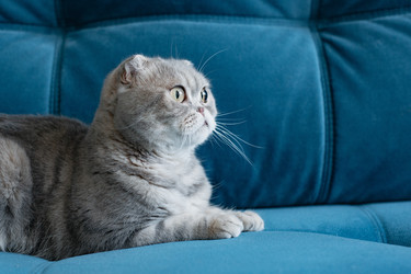 Similar image 21409102