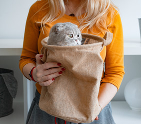 Similar image 21409103