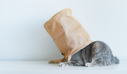 Similar image 21409104