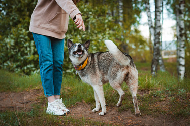 Similar image 21409684