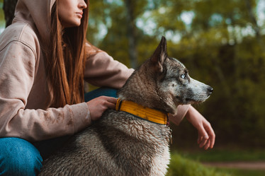 Similar image 21409686