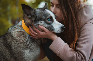 Similar image 21409697