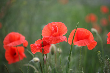 Similar image 21421350