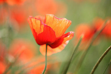 Similar image 21421353