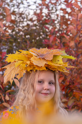 Similar image 21385725