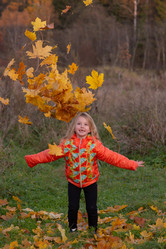 Similar image 21385771