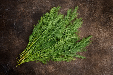 Similar image 21417627