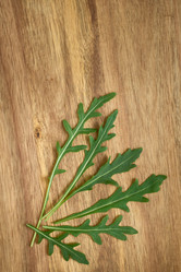 Similar image 21417630