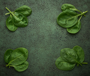 Similar image 21382166