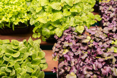 Similar image 21419331