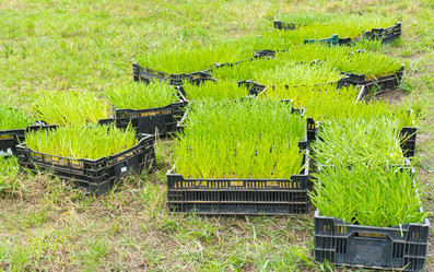 Similar image 21419337