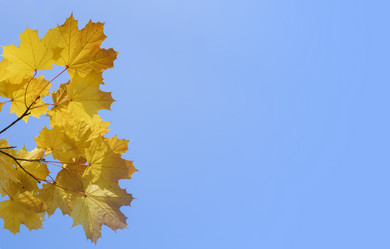 Similar image 21419385