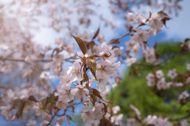 Similar image 21419386