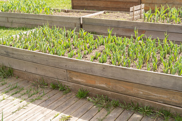 Similar image 21419258