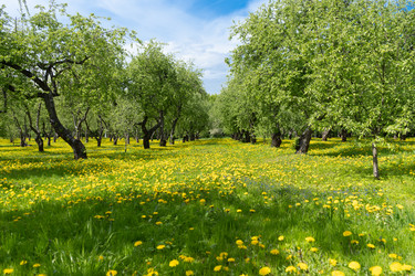 Similar image 21419259