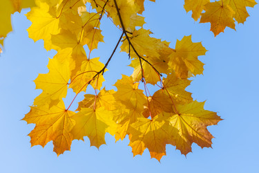 Similar image 21419264