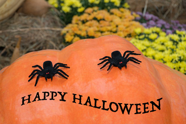 Similar image 21419392