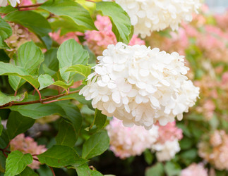 Similar image 21419407