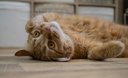 Similar image 21419410