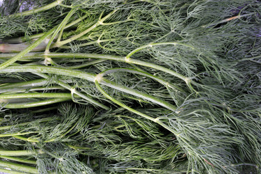 Similar image 21420556