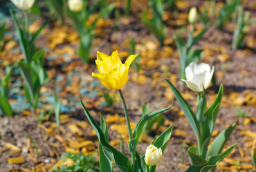 Similar image 21420563