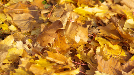 Similar image 21420564