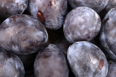 Similar image 21420766